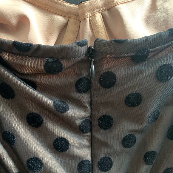 For Love and Lemons Dotty Dress - Picture 14 of 16